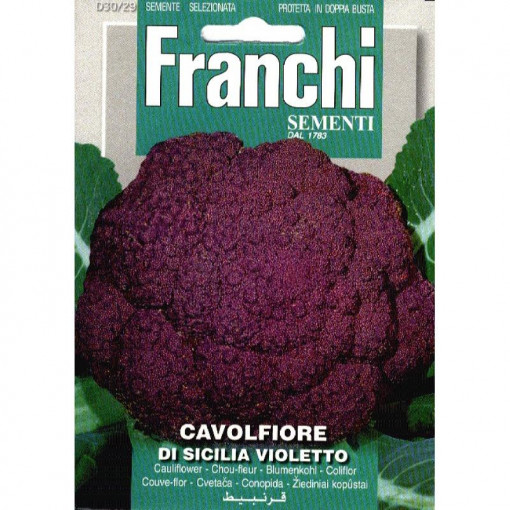Seminte de conopida violet Sicilia Violetto 30/29, 3.2g, Franchi, Italia