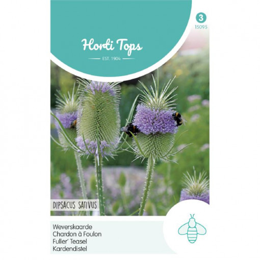 Seminte de Dipsacus, 0.5g/plic, Horti Tops, Olanda