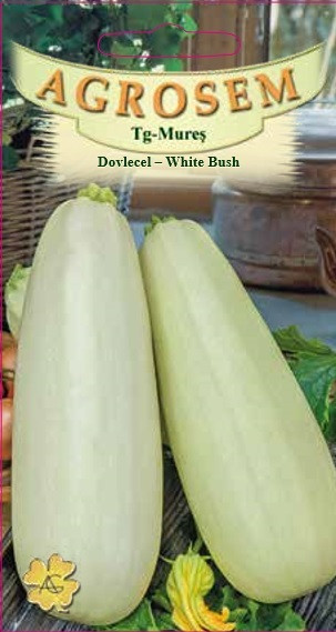 Seminte de dovlecel White Bush 3 grame