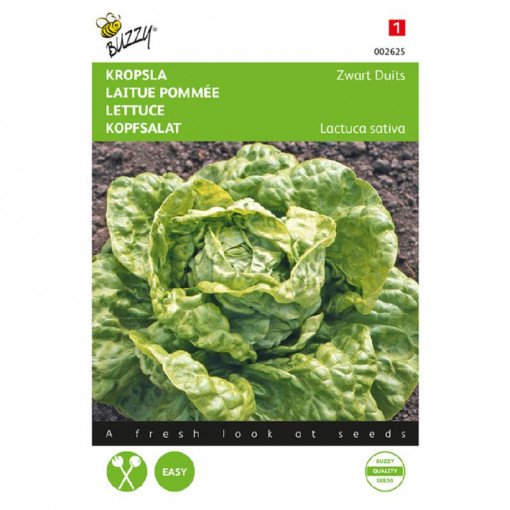 Seminte de salata verde pe tot parcursul anului, 3 g, Buzzy, Olanda