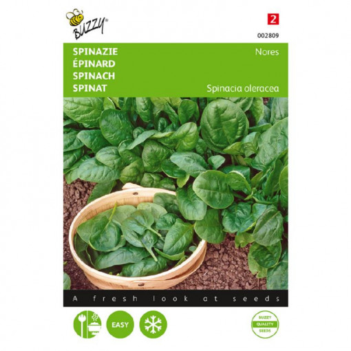 Seminte de spanac Nores ( tip Matador), 25 g, Buzzy, Olanda