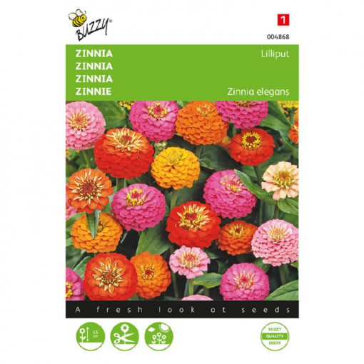 Seminte de Zinnia pitica mix, 1.5g/plic, Buzzy, Olanda