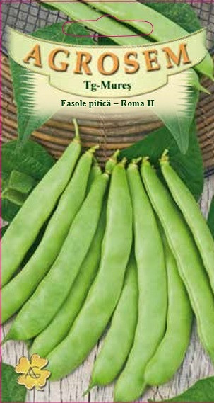Seminte de fasole pitica, pastaie lata, Roma II, Agrosem