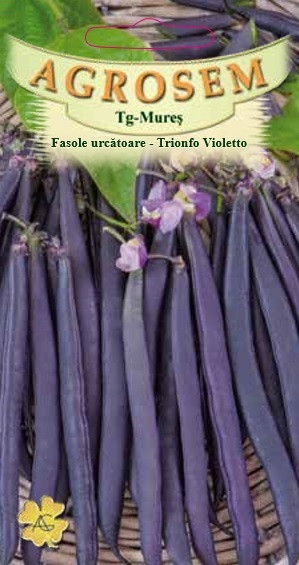 Seminte de fasole urcatoare Trionfo Violetto 10 grame