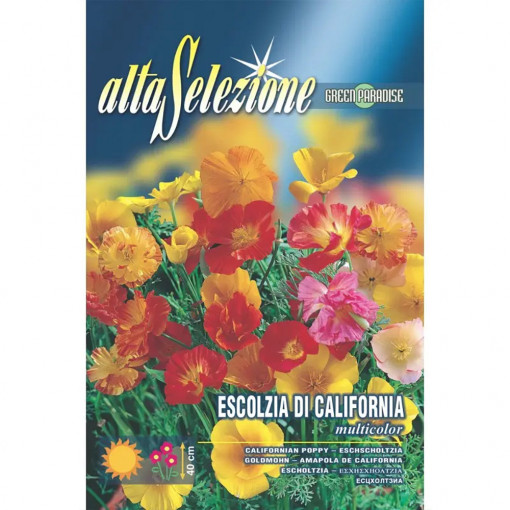 Seminte de Mac californian multicolor, 1.5g, Franchi