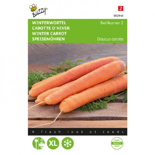 Seminte de morcov de iarna Berlicum 2, 6g, Buzzy, Olanda