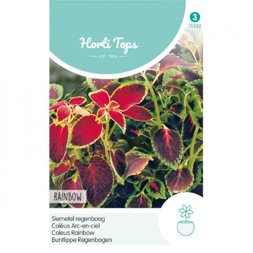 Seminte de Coleus Rainbow mix, 0,2g, Horti Tops, Olanda