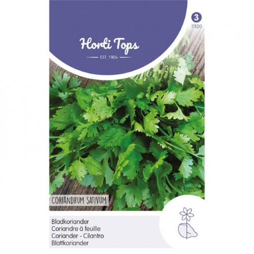 Seminte de Coriandru, 3 g/plic, Horti Tops, Olanda