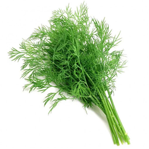 Seminte de Marar, seminte de marar planta anuala, aromat, Agrosem, 4gr