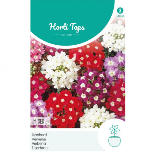 Seminte de verbena pitica mix, 0,4g, Horti Tops, Olanda