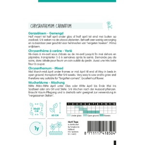 Chrysanthemum carinatum, 1g, Horti Tops, Olanda - Img 2