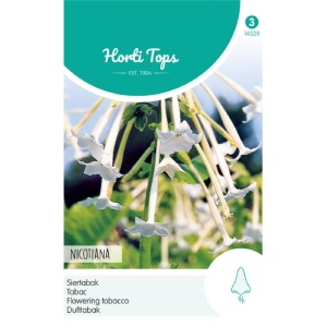 Nicotiana Sylvestris/ Regina noptii, 0.15g, Horti Tops, Olanda