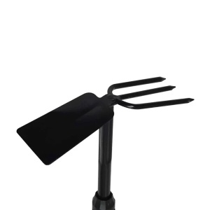 Sapaliga telescopica - Img 2