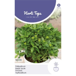Seminte de busuioc pitic Bascuro, 1,5g, Horti Tops, Olanda