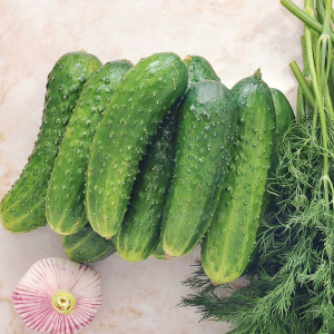 Seminte de castraveti cornichon Delikatess, soi semitimpuriu, fructe crocante, Agrosem, 1,5 g