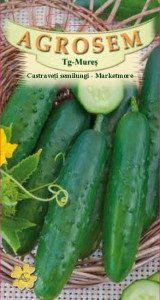 Seminte de castraveti semilungi - Marketmore 1.5 grame