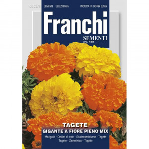 Seminte de Craita Gigante cu flori pline mix, 2.5g, Franchi