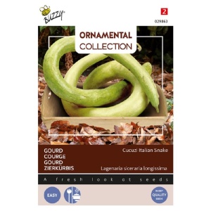 Seminte de dovlecei Snake, 2.5g, Buzzy, Olanda