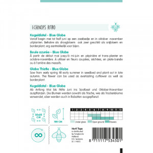 Seminte de Echinops Blue Globe, 0,5g, Horti Tops, Olanda