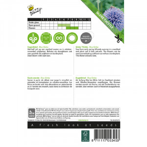 Seminte de Echinops Thistle Blue Globe, 0,5g, Buzzy, Olanda
