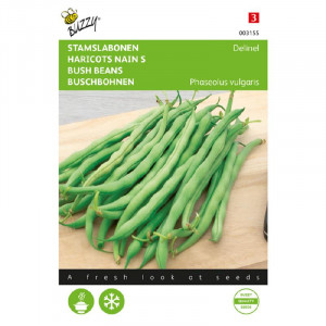 Seminte de fasole seminte negre Delinel, 20g, Buzzy, Olanda