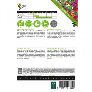 Seminte de Impatiens, Busy Lizzie Baby mix, 0,1g, Buzzy, Olanda