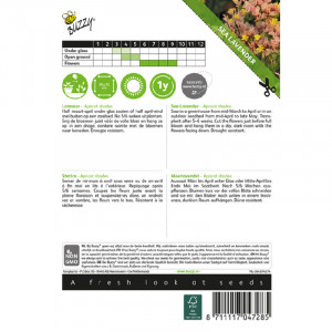 Seminte de Limonium/statice Apricot Shades, 0,25g, Buzzy, Olanda