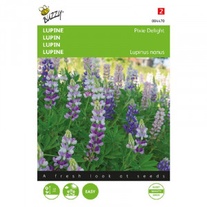 Seminte de Lupin Pixie Delight mix, 2g, Buzzy, Olanda
