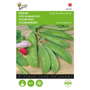 Seminte de mazare dulce cu floare rosie Grey, 30g , Buzzy, Olanda