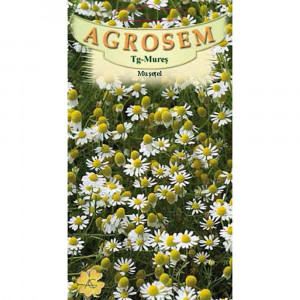 Seminte de musetel, planta medicinala, cu flori foarte parfumate, Agrosem