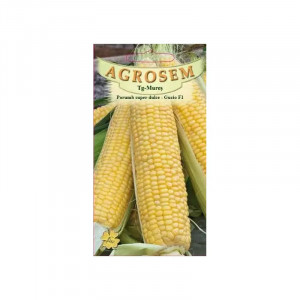 Seminte de porumb super dulce Gucio 3g, Agrosem