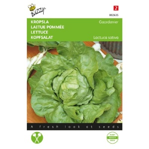 Seminte de salata Butterhead Bon Jardinier, 3 g, Buzzy, Olanda