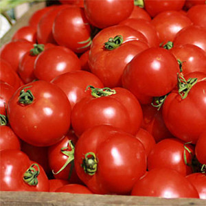 Tomate Buzau 4, soi semitimpuriu, cu crestere determinata, 25gr