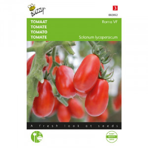 Seminte de tomate Roma, 2 g, Buzzy, Olanda