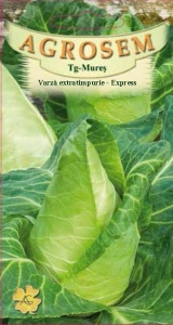 Seminte de varza extratimpurie Express, Agrosem