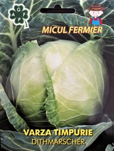 Seminte de varza timpurie Dithmarscher