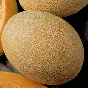 Pepene galben Ananas, Agrosem 2gr
