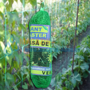 Plasa pentru palisat castraveti 2 x 5 m, culoare verde
