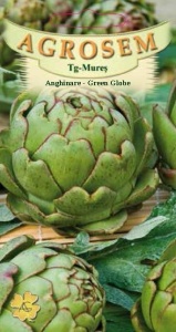 Seminte de anghinare Green Globe, Agrosem