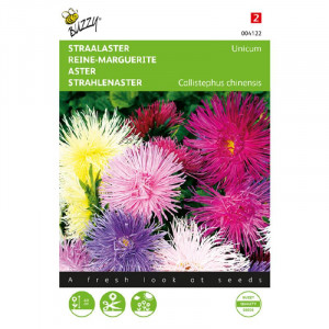 Seminte de Aster unicum mix, 1g/plic, Buzzy, Olanda