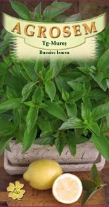 Seminte de busuioc Lemon, Agrosem