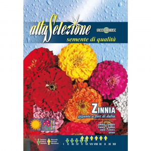 Seminte de Carciumareasa giganta cu floare de Dalie, 2g, Franchi