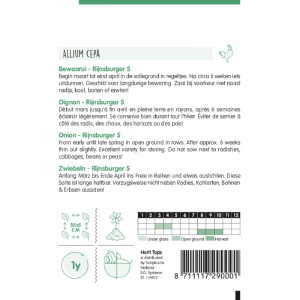 Seminte de ceapa alba Rijnsburger, 4g, Horti Tops, Olanda - Img 2