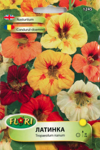 Seminte de condurul doamnei pitic mix, 20 seminte
