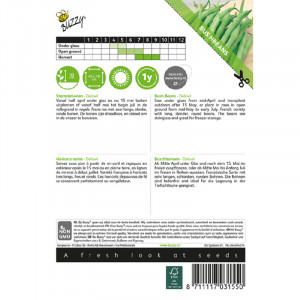 Seminte de fasole seminte negre Delinel, 20g, Buzzy, Olanda
