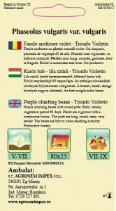 Seminte de fasole urcatoare Trionfo Violetto 10 grame