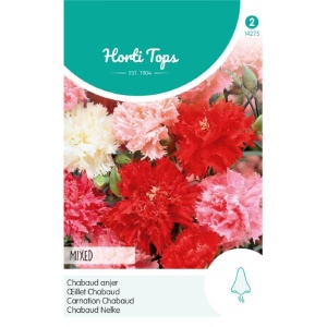 Seminte de garoafa Chabaud mix, 0,25g , Horti Tops, Olanda