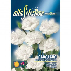 Seminte de Garoafa Flori albe, 0.6g, Franchi