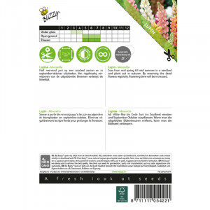 Seminte de lupin pitic Minarette, 1,5g, Buzzy, Olanda
