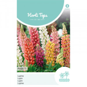 Seminte de Lupinus Minarette mix, 1,5g, Horti Tops, Olanda